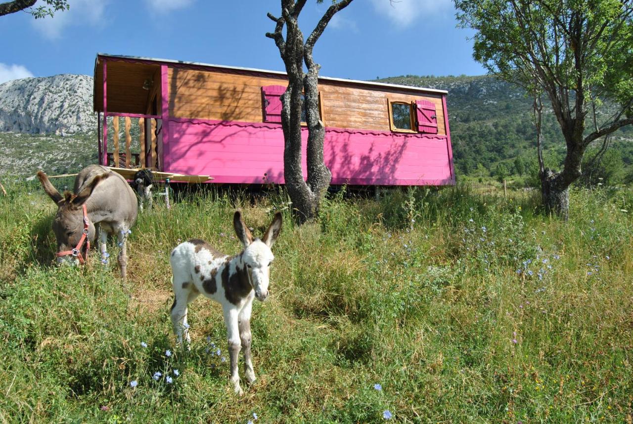 Ferme Saint Pierre Hotel Bargème Esterno foto