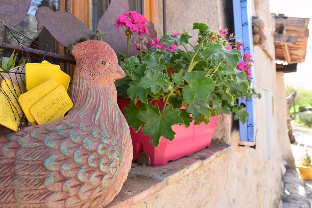 Ferme Saint Pierre Hotel Bargème Esterno foto